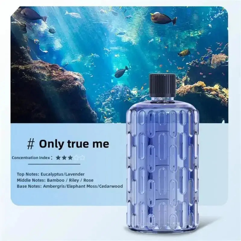 Aroma Diffuser Humidifier Fragrance Essential Oil Aromatherapy Machine Air Freshener Hotel Bedroom Toilet Bathroom Deodorization - KAIROS