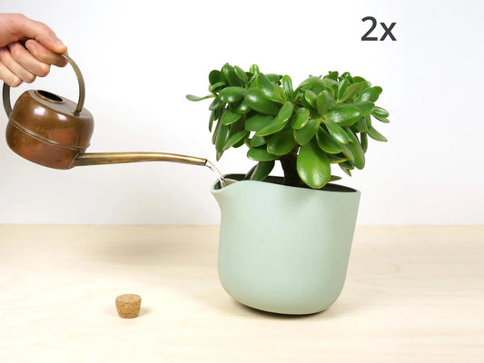 2x Natural Balance - KAIROS