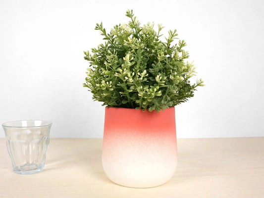 Flowertop - Medium - KAIROS